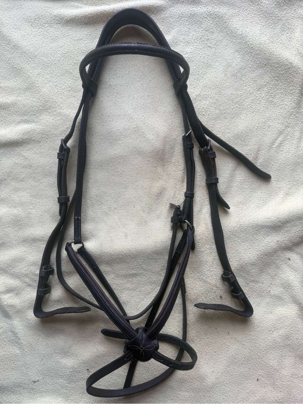 Horse sized figure 8 bridle